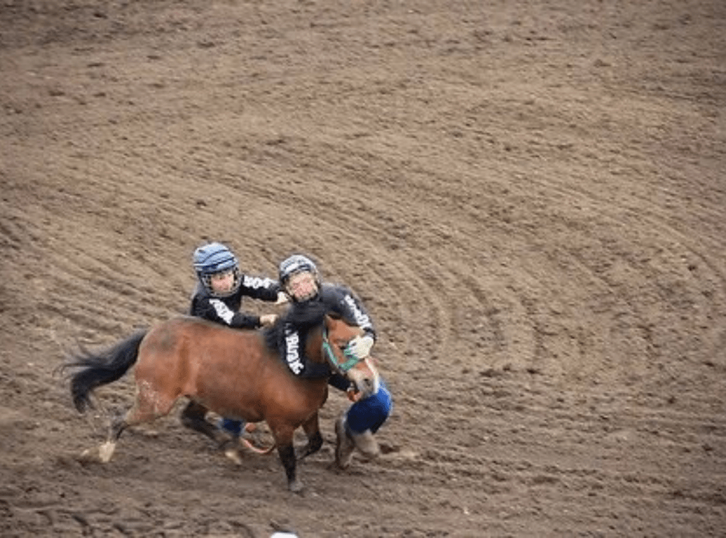 Rainmaker Junior Pony Races