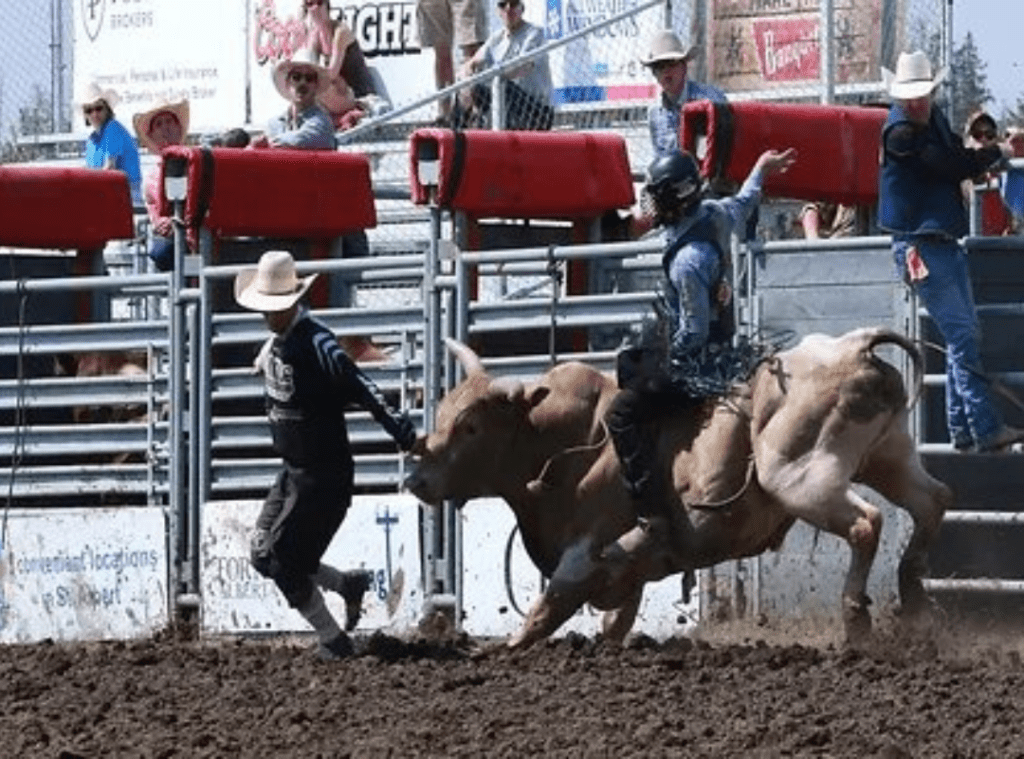 Rainmaker Bull Riding