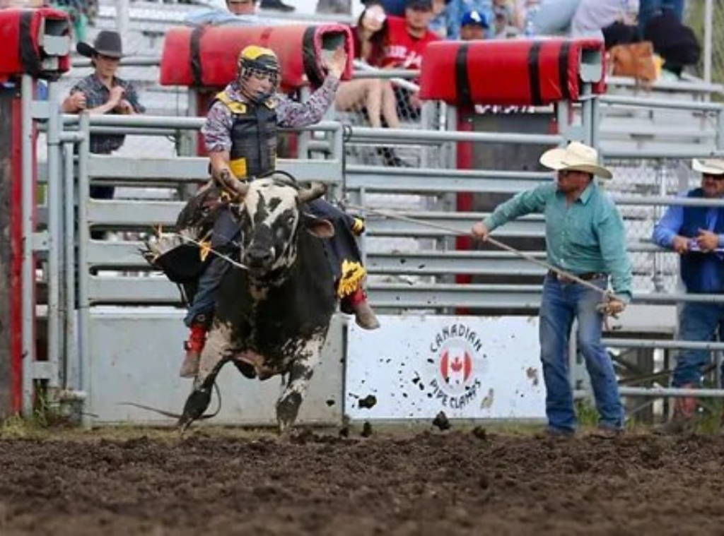 Junior Bull Riding
