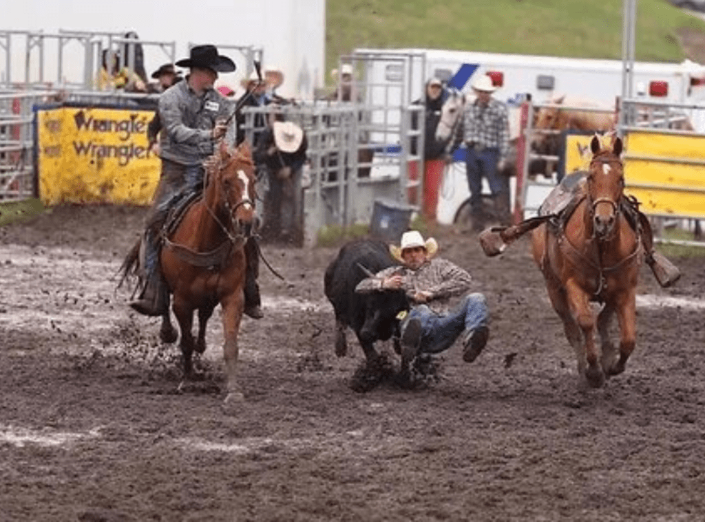 Rainmaker Steer Wrestling