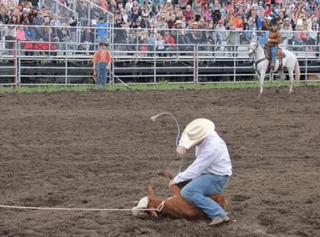 Rainmaker Tie Down Roping